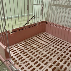 【8/26迄】小動物　ケージの画像