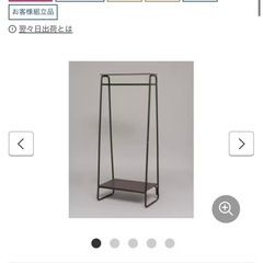 アイリスオーヤマ　スタイルハンガー2WAYタイプ プレミアム
の画像