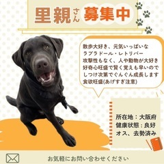 代理掲載です