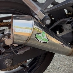 ニンジャ250rの画像