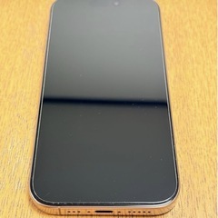 iPhone16Pro 256GBの画像