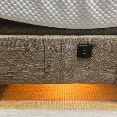 テンピュールの画像