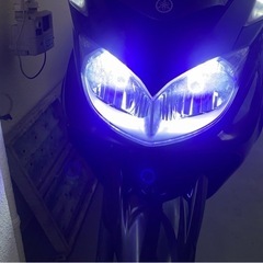 マジスティーの画像