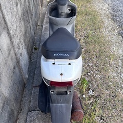 ❇️DIO ZX 現状1万円❗️❇️の画像