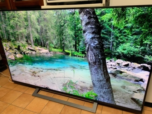 ① 東芝 TOSHIBA レグザ 4K 55インチ 55型 55M530X 2019年製