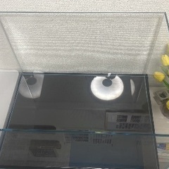 ガラス水槽ADA キューブガーデン W600×D450×H36セットの画像