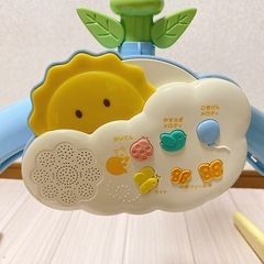 プーメリーの画像