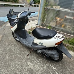 ライブディオチェスタ　AF34モデル　自賠責保険付きの画像