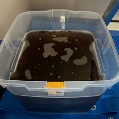 エアコンクリーニング・室外機クリーニング教えます 実践形式で学べる講習 15,000円 クリーニングのみ8,000円の画像