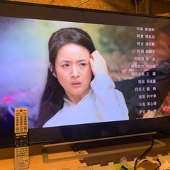 東芝 REGZA 液晶テレビ49J20X の画像