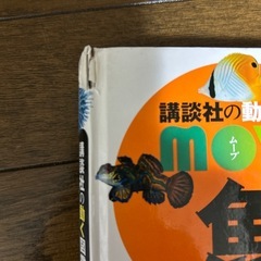 図鑑5冊の画像