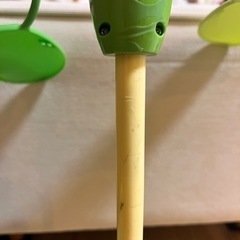 プーメリーの画像