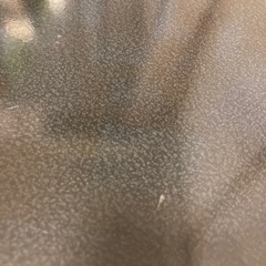 【至急】頑丈な折りたたみテーブル – コンパクトサイズ！の画像