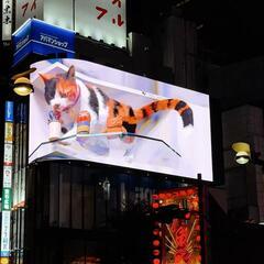 🌙 夜はいつもリラックスして退屈です 🌙