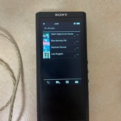 sony nw-zx300 4.4mm バランスケーブルBEAT audioの画像