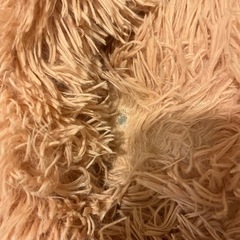 ペット用ベッドの画像