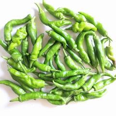 野菜3種類（無料）の画像