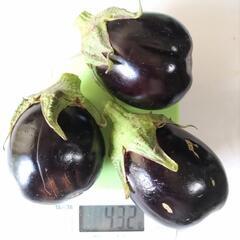 野菜3種類（無料）の画像