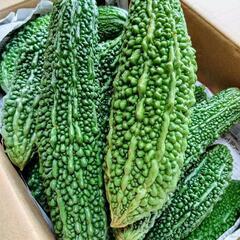 🌺夏野菜4点詰め合わせ🌺の画像