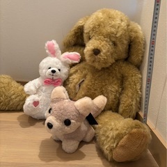 ぬいぐるみの画像