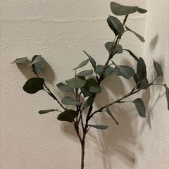 IKEA フェイクグリーンの画像