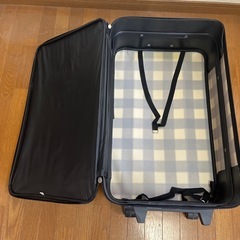 格安キャリーバックの画像