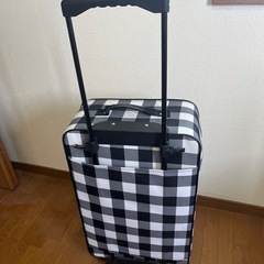 格安キャリーバックの画像