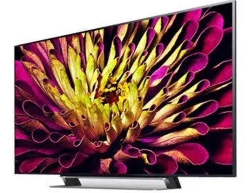 東芝 49V型 液晶 テレビ 49G20X 4K USB HDD録画対応