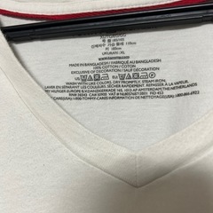 8月31日まで！TOMMY ティシャツ XLの画像