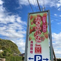 いちご農園スタッフ　未経験歓迎！１６時までに終わるお仕事です。の画像