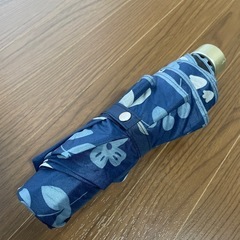 折りたたみ日傘の画像