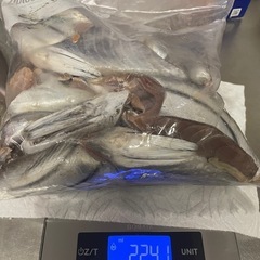釣り餌　マグロ、カツオのハラゴ　の画像