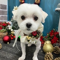 元気もりもり5歳男の子♪