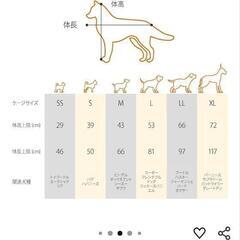 【美品】ゲージお売りしますの画像