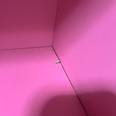 ニッセン　ピンク　姫系全身鏡　棚の画像