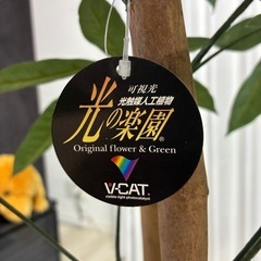 人工観葉植物の画像