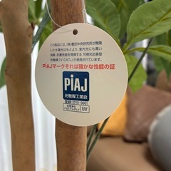 人工観葉植物の画像