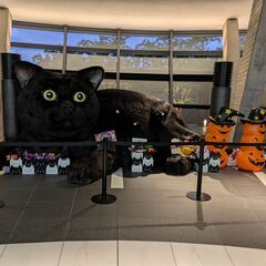 羽田クロノゲート見学ツアー一緒に行きませんか？