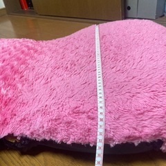 ピンクの座椅子
の画像