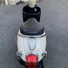 honda giorno af70の画像