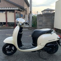 honda giorno af70の画像