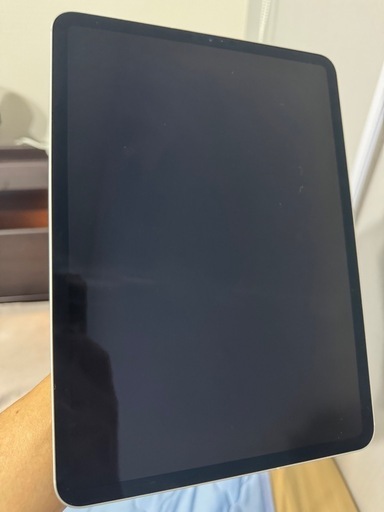 Apple iPad Pro 第二世代　256GB