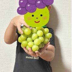 【訳あり特価！】50年農家の祖父が育てた採れたて🍇家庭用シャインマスカットの画像