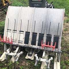 ヤンマー 4条植 田植機 Pe-1の画像
