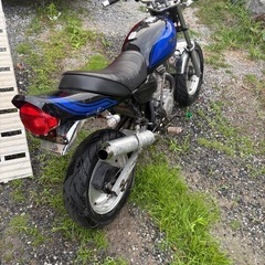 ホンダエイプの画像