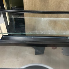 新潟産　変わり柄　五色　銀鱗キャリコ玉サバ　サバ尾２匹　７cmくらい　６０cm水槽セット　金魚　鑑賞魚の画像