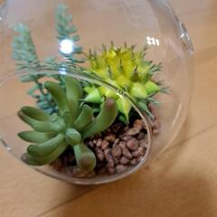 多肉植物のフェイク飾りの画像