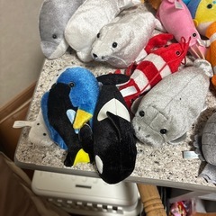 海の魚シリーズぬいぐるみ２１個の画像