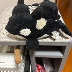 鴨川シーワールドシャチぬいぐるみ3個の画像