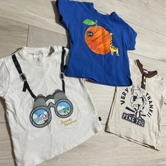 80 半袖シャツの画像